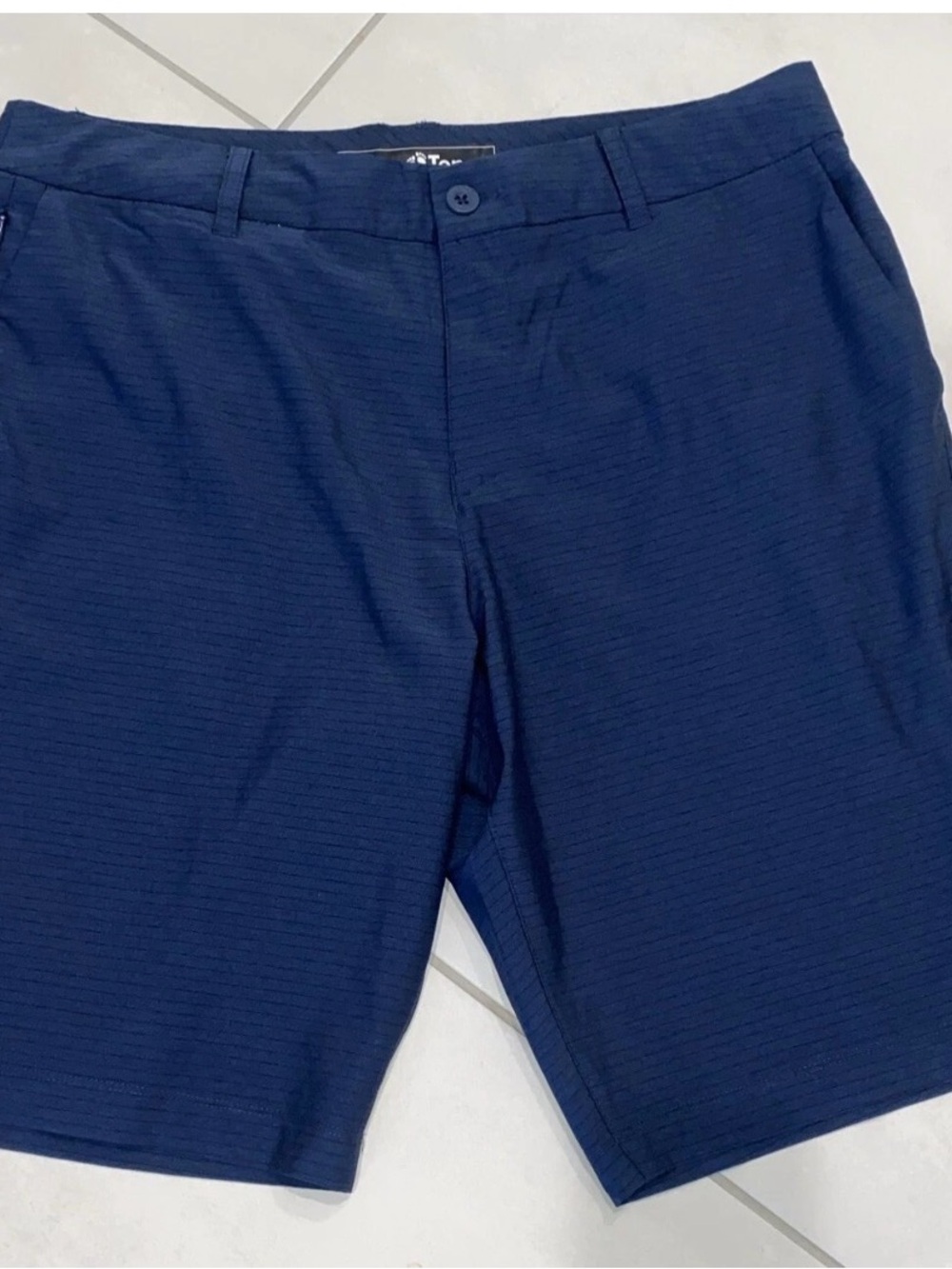 Hang Ten Size 34 Men's  Blue Striped Shorts EUC-013